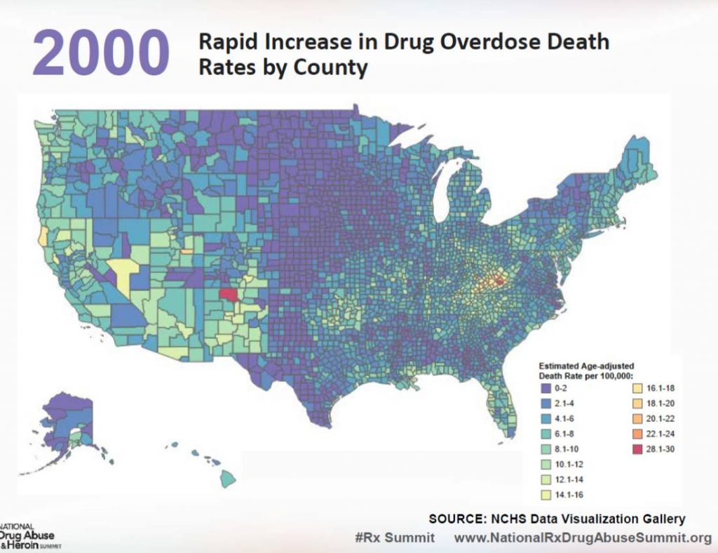 Drug Overdose Deaths_year 2000