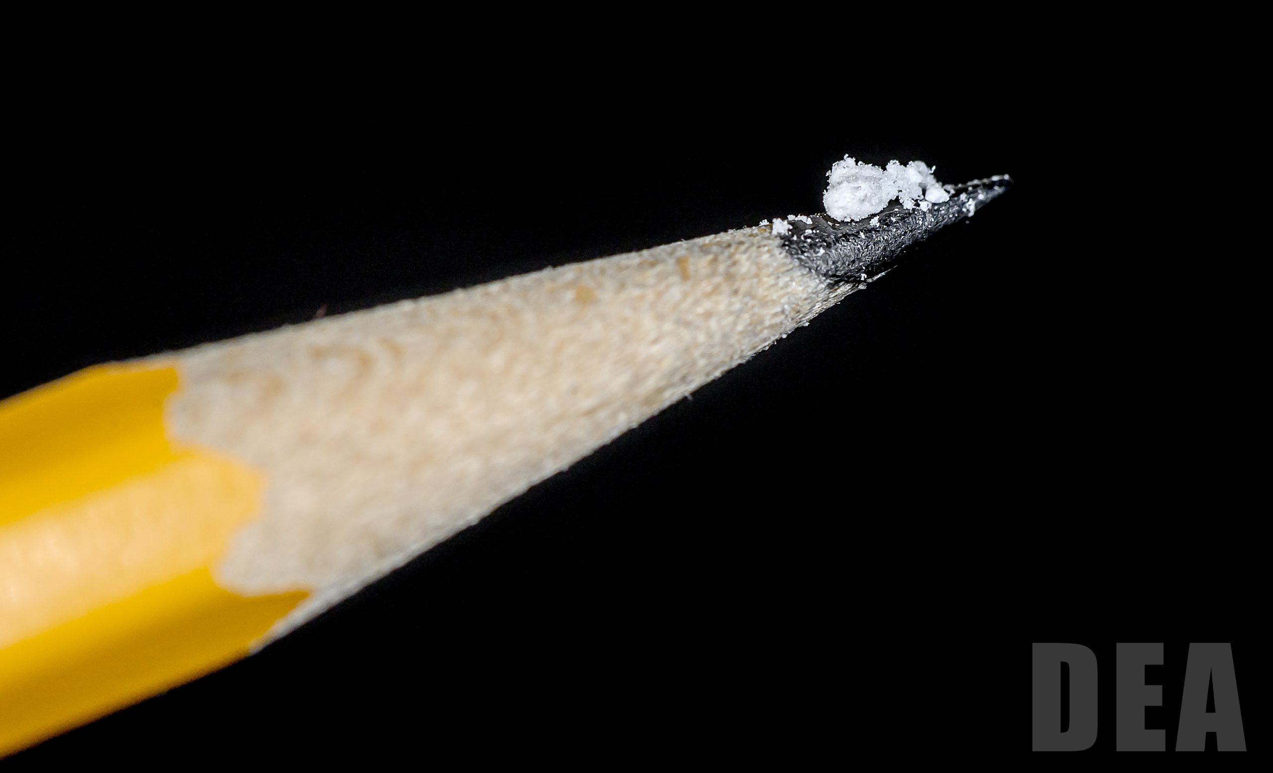 A few grains of powdered fentanyl rest on the tip of a pencil to demonstrate a lethal dose of the drug.